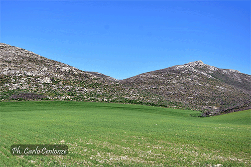 Gravina in Puglia Murgia