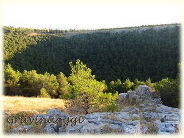 Il Pulicchio di Gravina