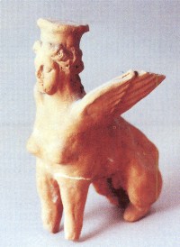 Collezione Santomasi Foto 6