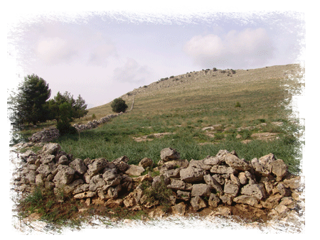 La Murgia