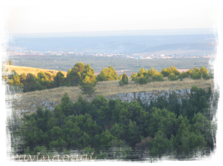 Panoramada-Pulicchio