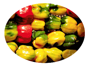 U ciamb�tt