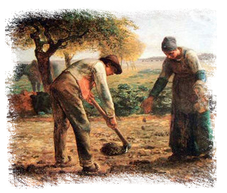 Il seminatore