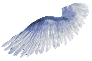 Ala
