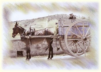 Gravina in Puglia Traino
